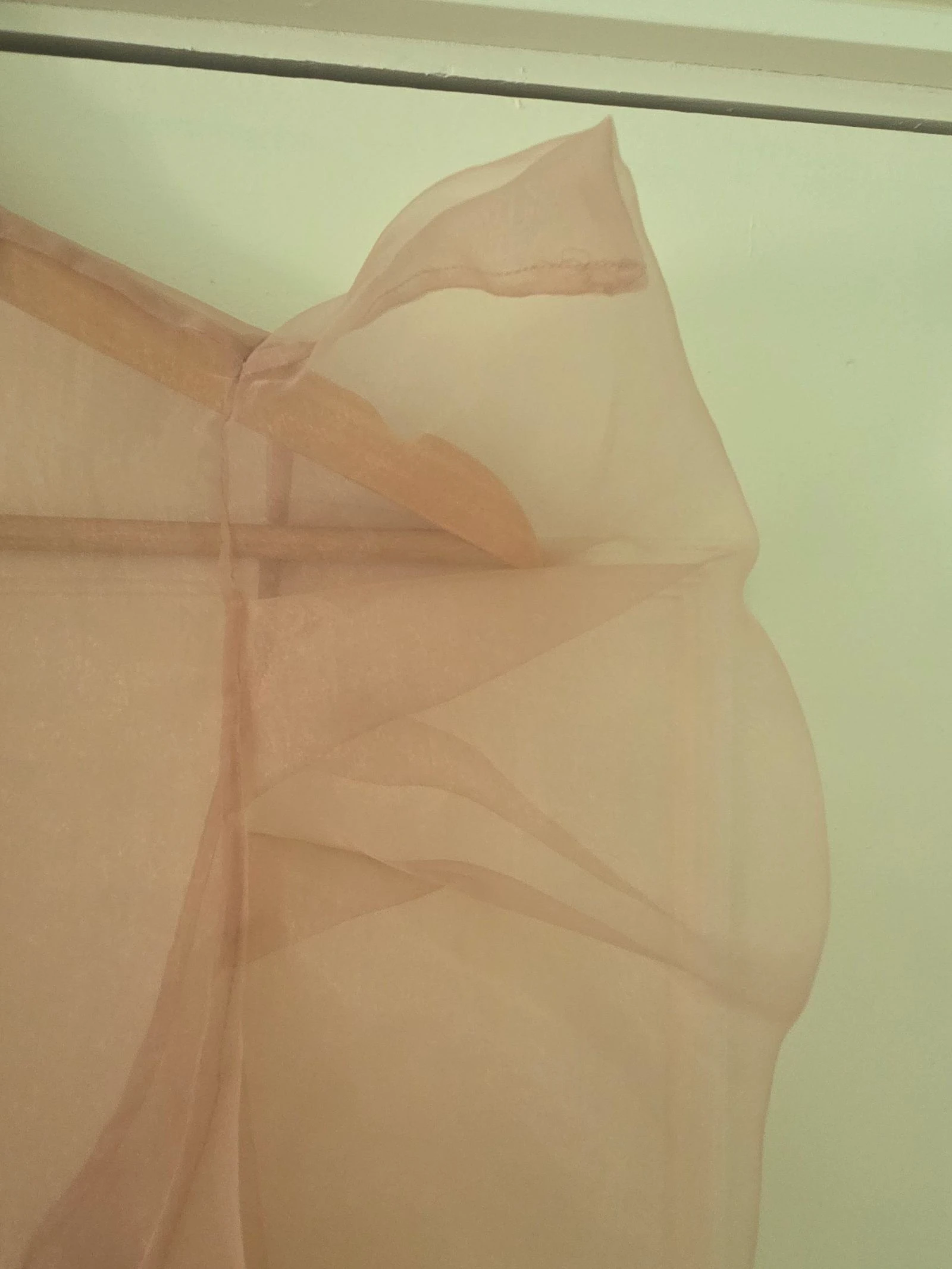Roze Organza Blouse met Lint Nieuw | Zara | Maat XL – photo 5